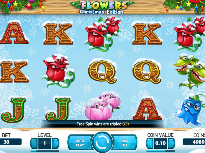 Flowers Christmas Edition – the best Video Slot with 5 reels