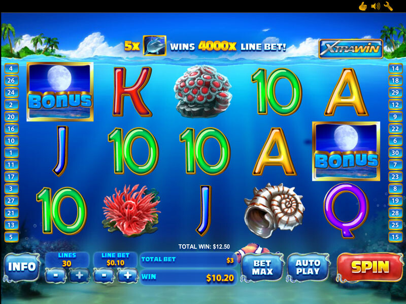 Dolphin Cash – the best Video Slot with 5 reels