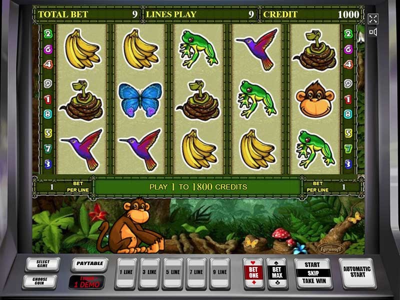 Crazy Monkey 2 – the best Video Slot with 5 reels