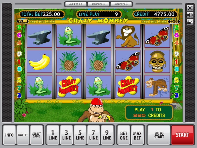 Crazy Monkey – the best Video Slot with 5 reels